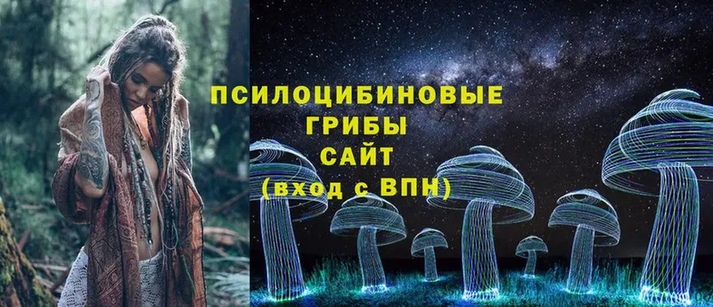 купить закладку  кракен как зайти  Псилоцибиновые грибы Cubensis  Мыски 